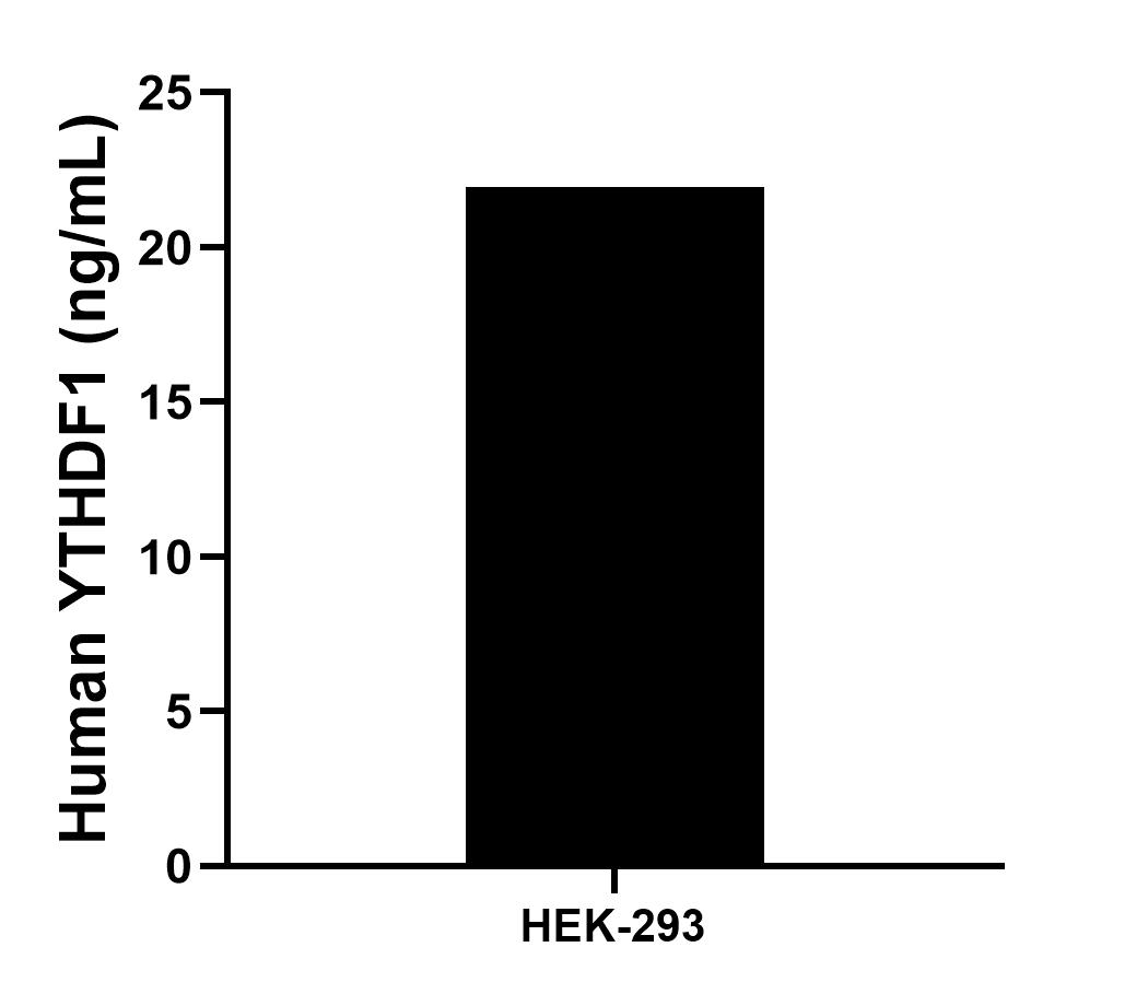 Sample test of MP01146-4